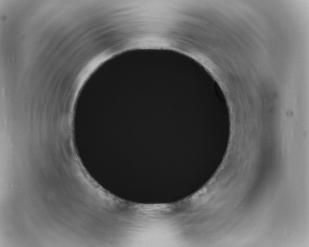 X0000059060864200511041727