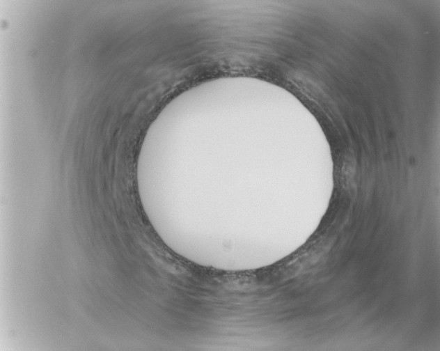 X0000059060865200511041726