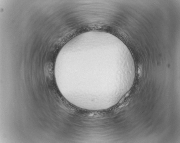 X0000059060867200511041726