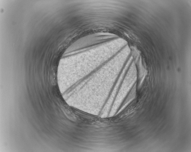 X0000059060868200511041726