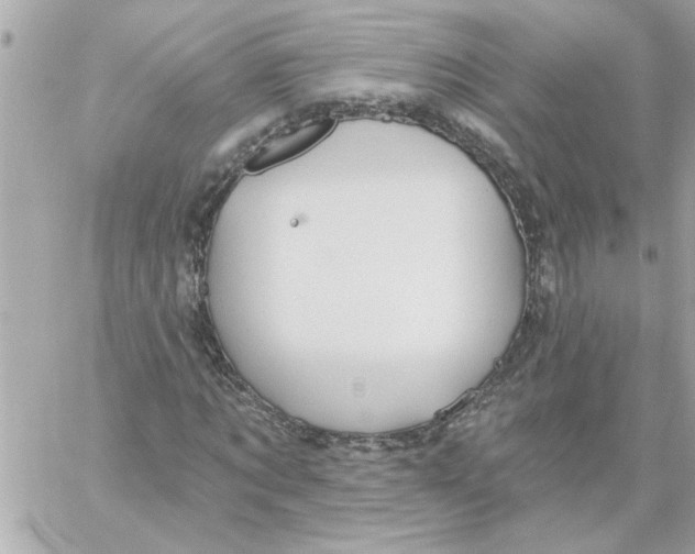 X0000059060869200511041726