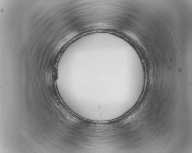 X0000059060873200511041726