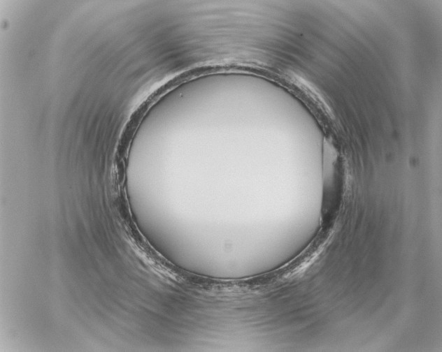 X0000059060876200511041726