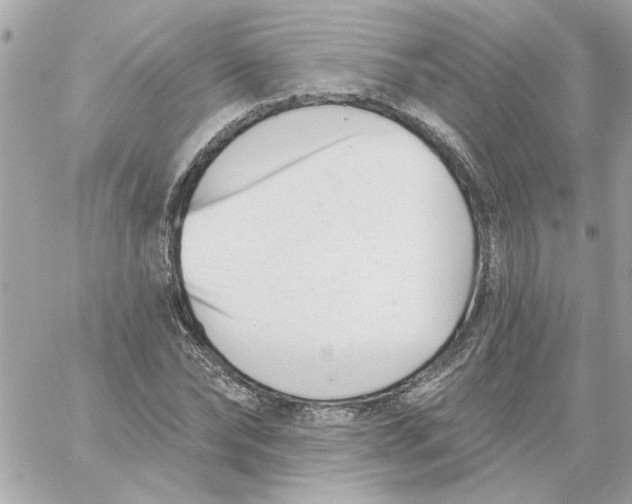 X0000059060878200511041726