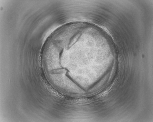 X0000059060879200511041726