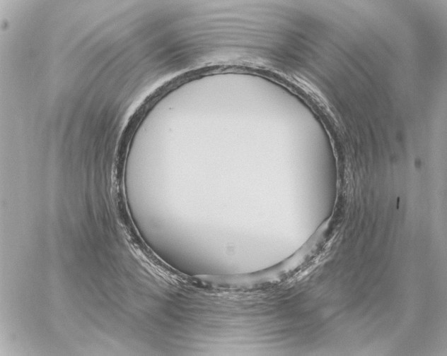 X0000059060880200511041726