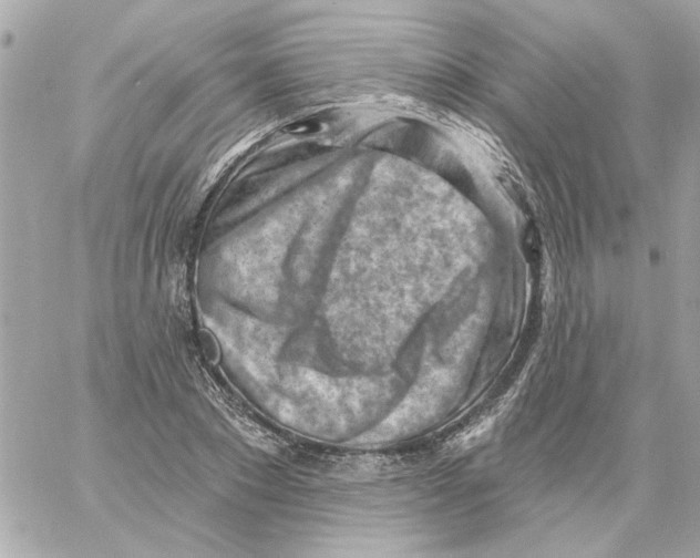 X0000059060881200511041726