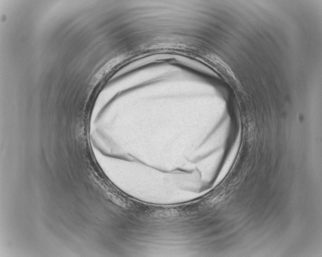 X0000059060882200511041726