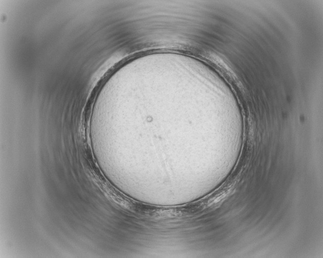 X0000059060883200511041726