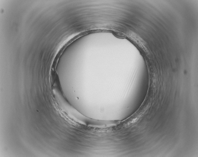 X0000059060884200511041726