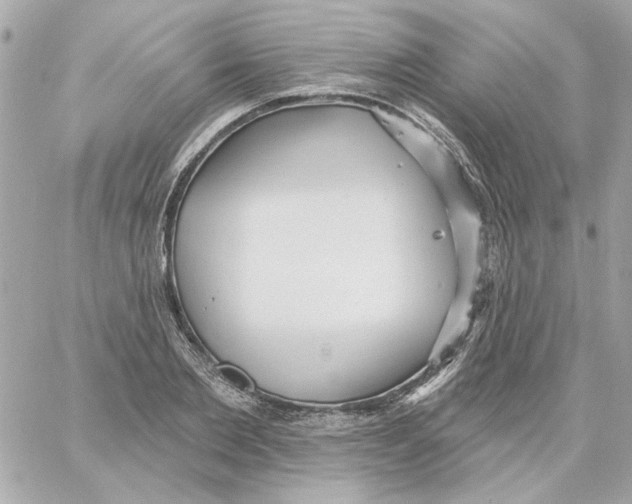 X0000059060885200511041726