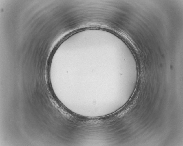 X0000059060888200511041726