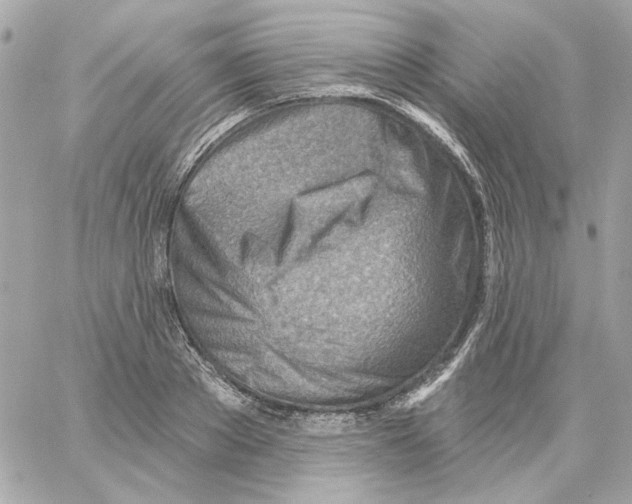 X0000059060889200511041726