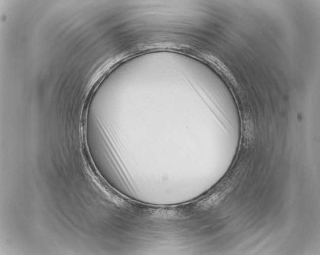 X0000059060890200511041726