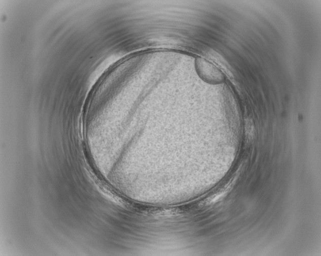 X0000059060891200511041726