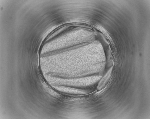 X0000059060892200511041725