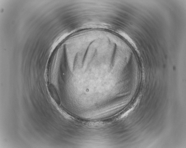 X0000059060893200511041725