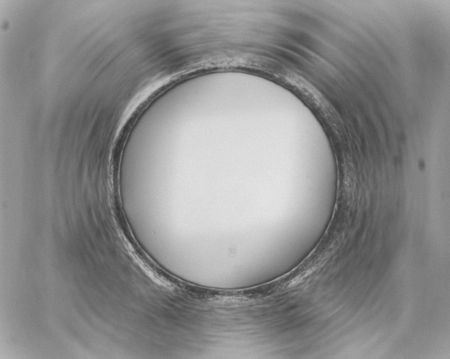 X0000059060894200511041725