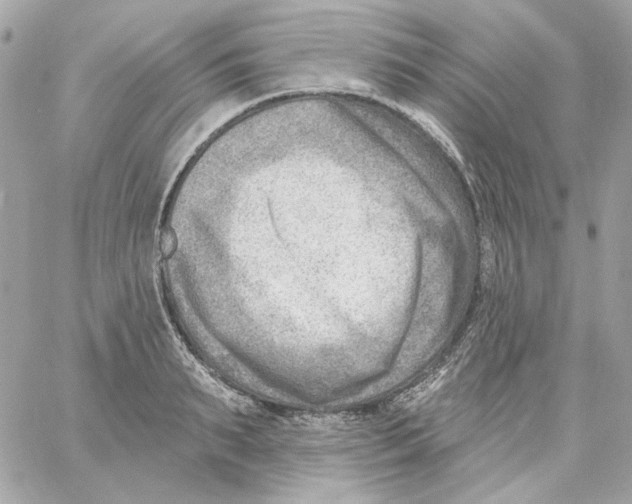 X0000059060895200511041725