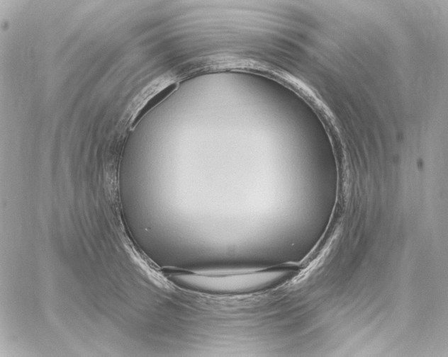 X0000059060897200511041725