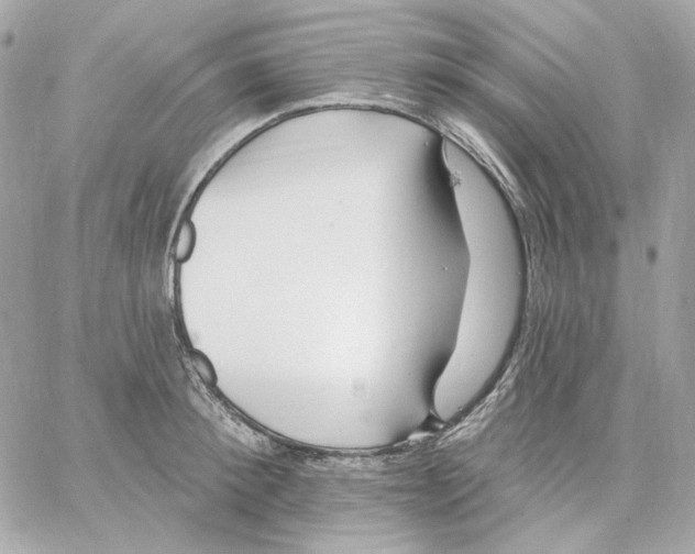 X0000059060900200511041725