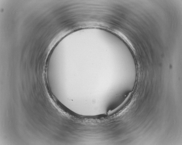 X0000059060901200511041725