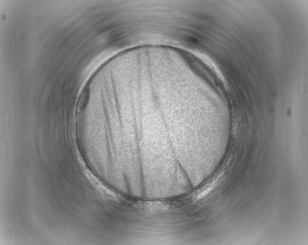 X0000059060903200511041725