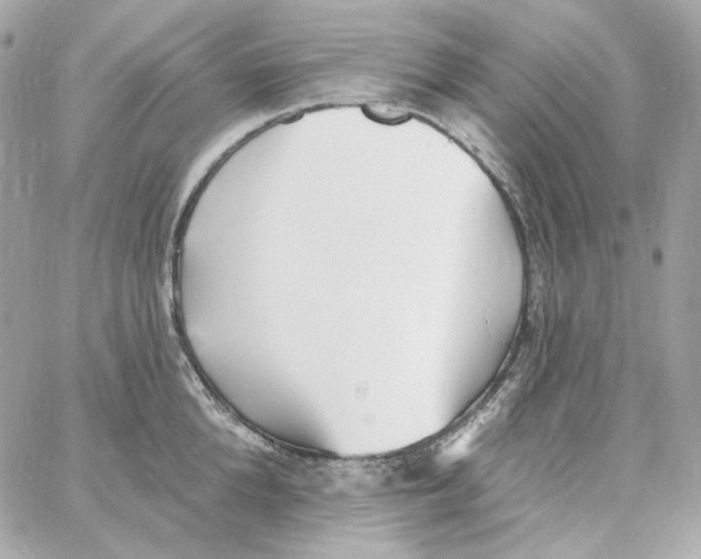 X0000059060904200511041725