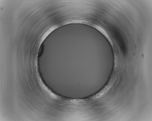 X0000059060906200511041725