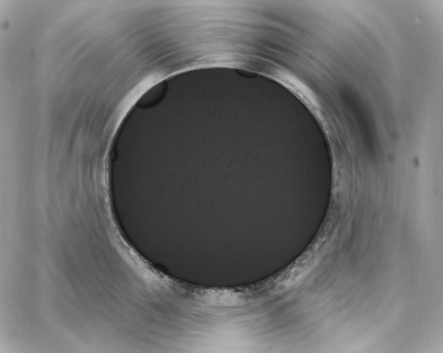 X0000059060907200511041725