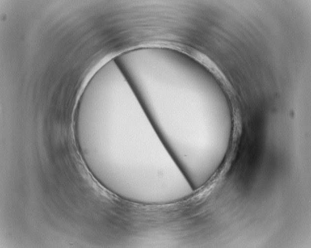 X0000059060908200511041725