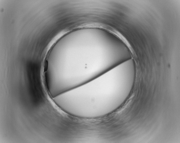 X0000059060909200511041725