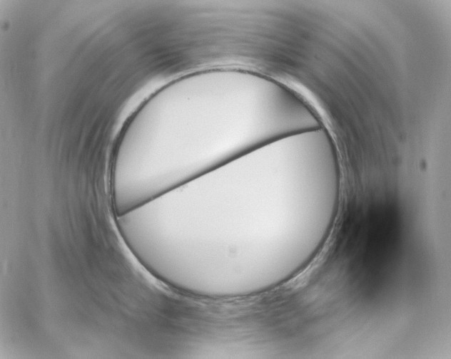 X0000059060910200511041725