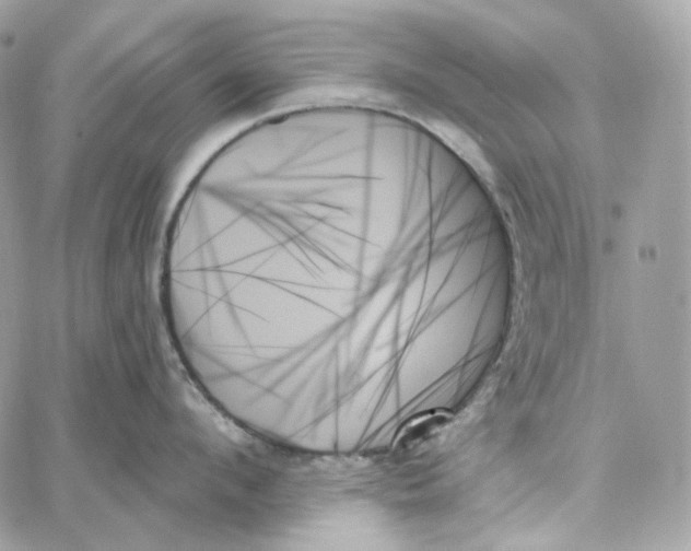 X0000059060912200511041725