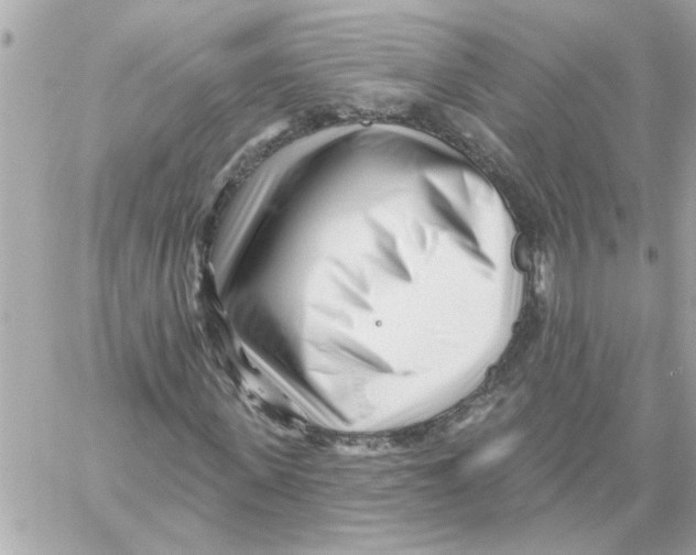 X0000059060915200511041724