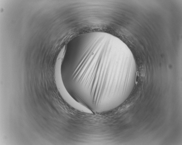 X0000059060916200511041724