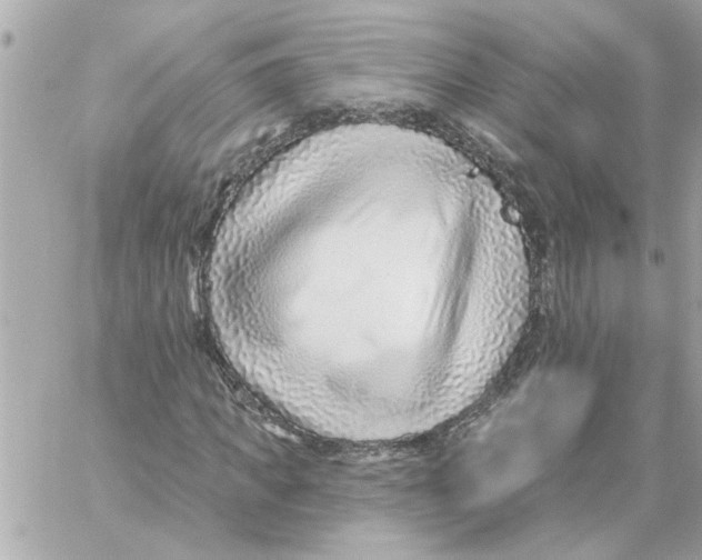 X0000059060917200511041724