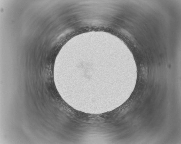 X0000059060918200511041724