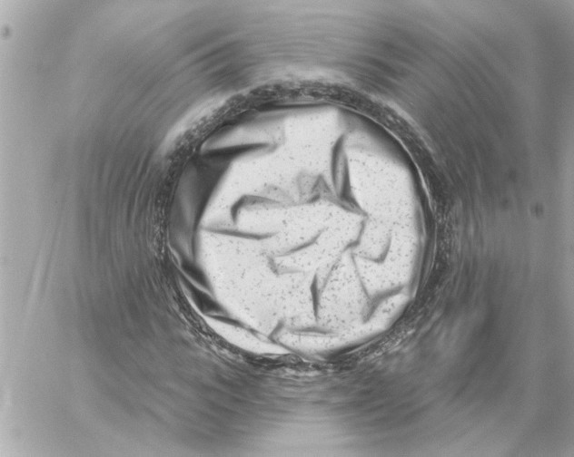 X0000059060919200511041724