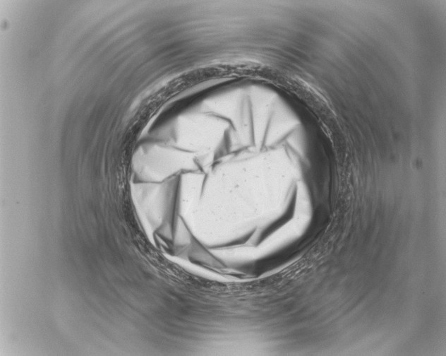 X0000059060920200511041724