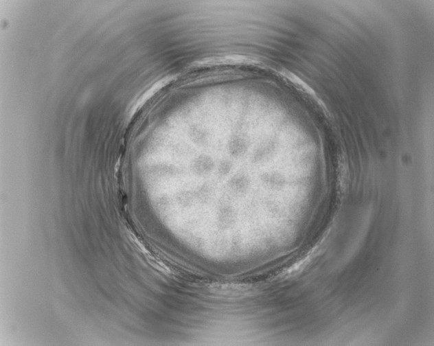 X0000059060921200511041724