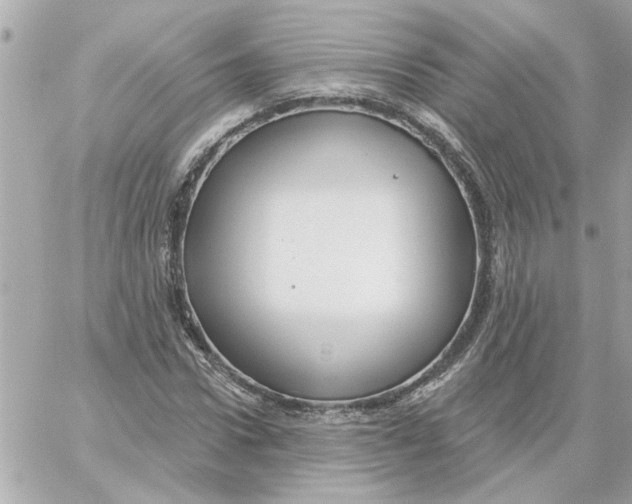 X0000059060922200511041724