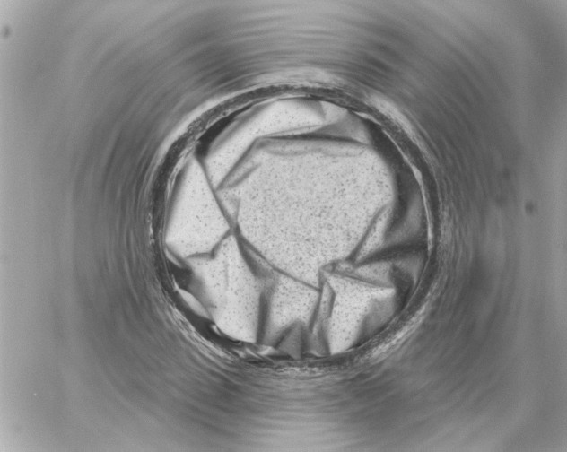 X0000059060923200511041724