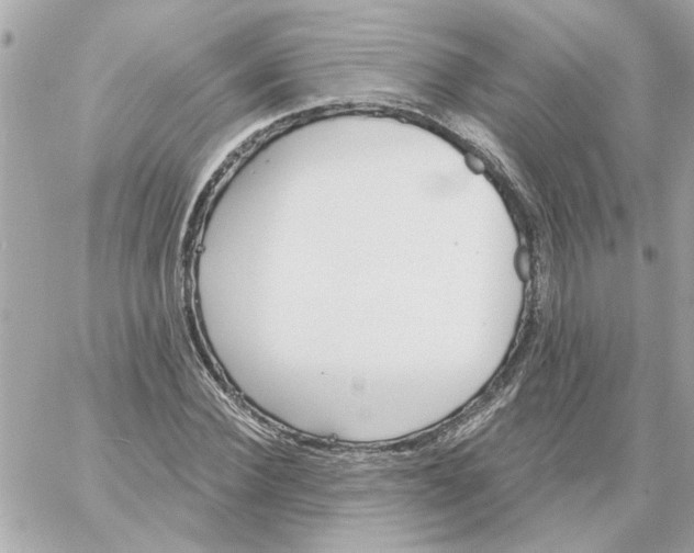 X0000059060924200511041724