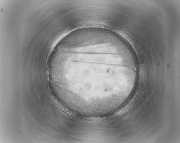 X0000059060925200511041724