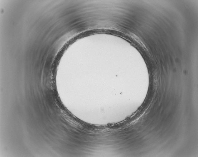 X0000059060926200511041724