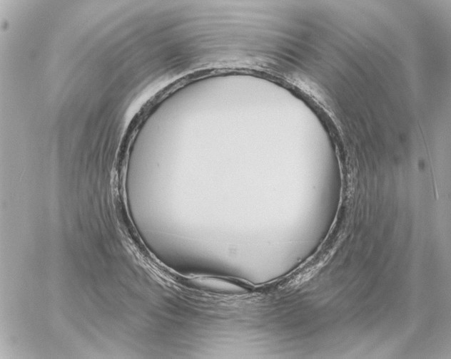 X0000059060928200511041724