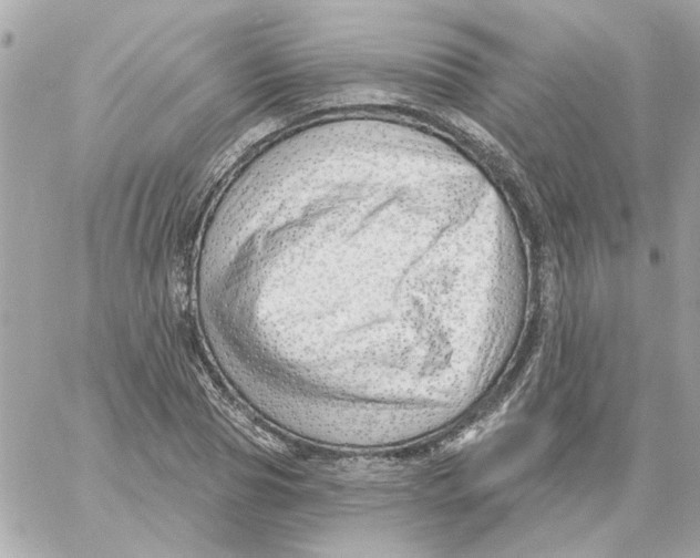 X0000059060929200511041724