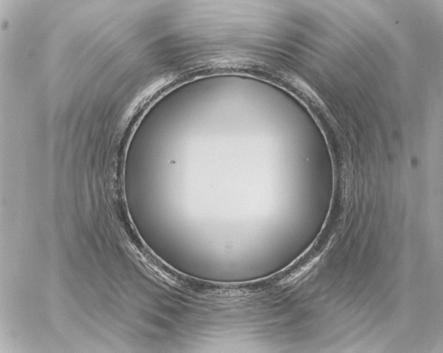 X0000059060930200511041724