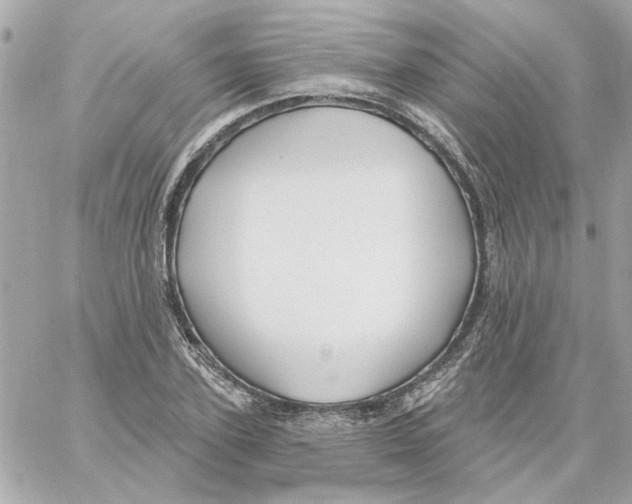 X0000059060931200511041725